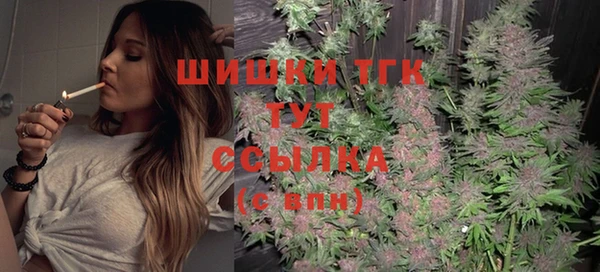 шишки Алексин