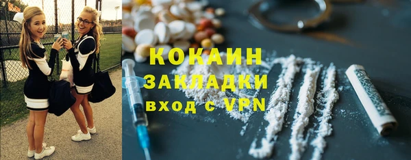 шишки Алексин