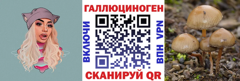 Псилоцибиновые грибы MAGIC MUSHROOMS сколько стоит Когалым