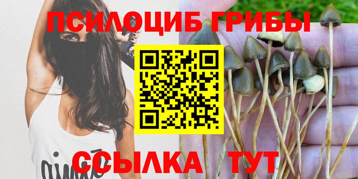 Псилоцибиновые грибы MAGIC MUSHROOMS Когалым