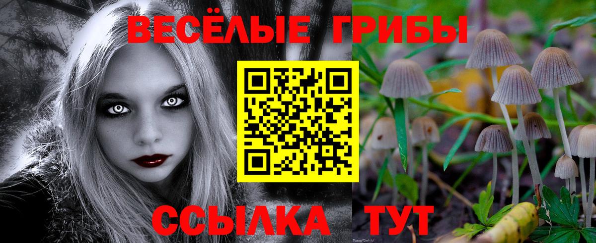 Когалым  Псилоцибиновые грибы Psilocybine cubensis  цена   Галлюциногенные грибы мицелий  Вход с VPN 